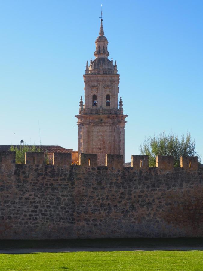 La Casona Del Zoilo -Los Arenales- El Burgo de Osma-Ciudad de Osma Exterior foto